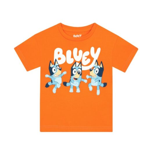 bluey-t-shirt-orange-sizes-2t-8