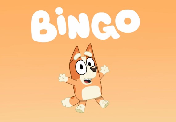 is-bingo-from-bluey-a-boy-or-girl